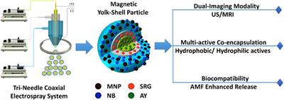 Theranostics Based on Magnetic Nanoparticles and Polymers: Intelligent Design for Efficient Diagnostics and Therapy